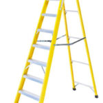 TB Davies 10 Tread EN131 Pro INSUL8-S GRP Swingback Step