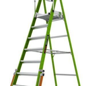Little Giant EN131-7 Safety Cage Ladders