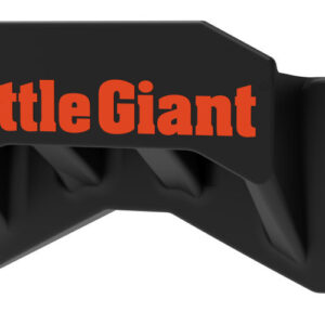 Little Giant Ladder Rack