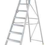 Werner 10 Tread Mastertrade Professional Aluminium Swingback Step