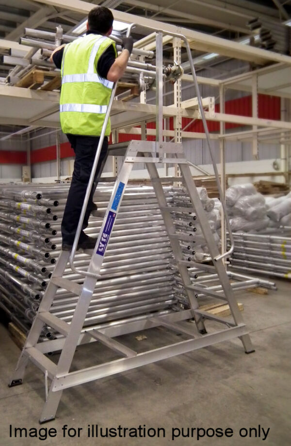 Lyte 7 Tread Fixed Industrial Double Sided Step Single Side Handrail